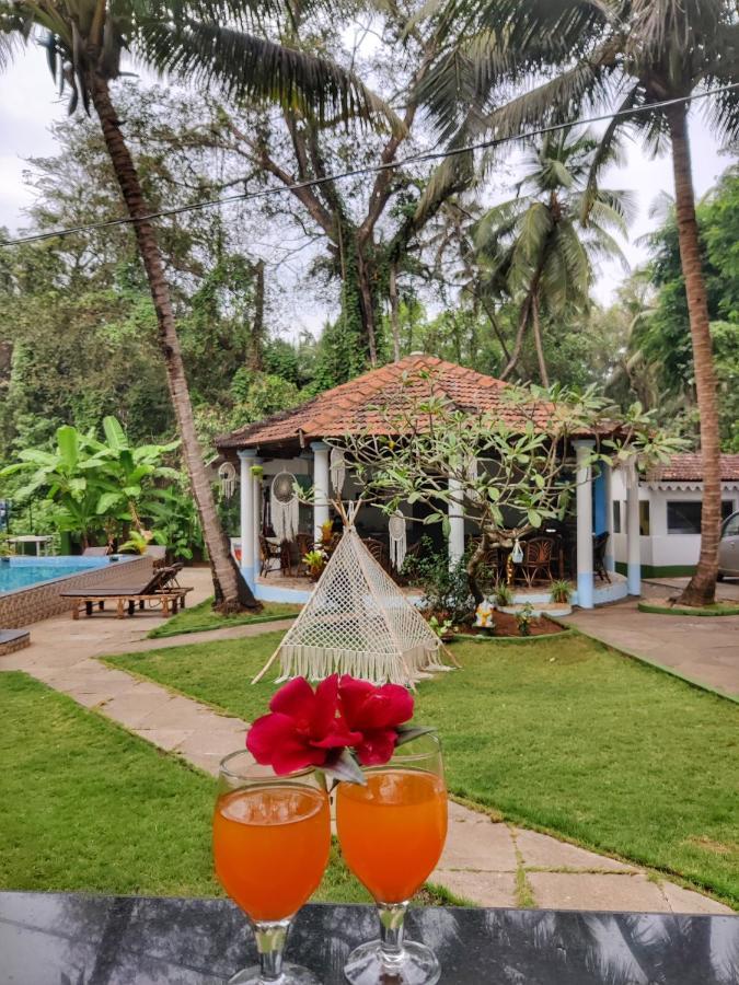 Heaven Goa Guesthouse ベナウリム エクステリア 写真
