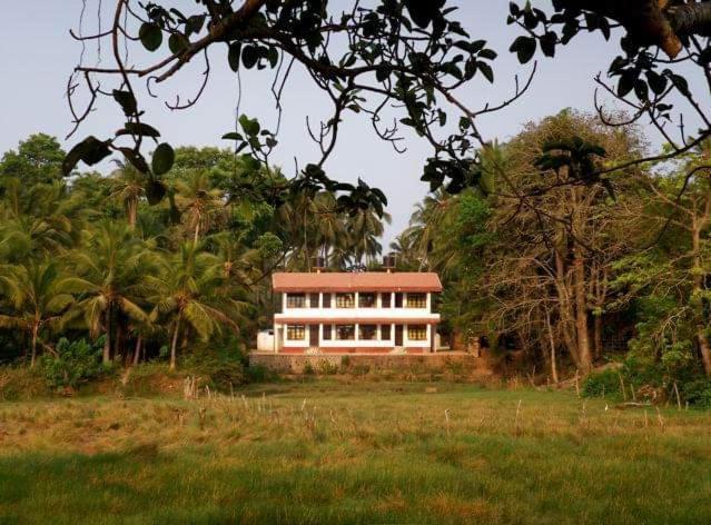 Heaven Goa Guesthouse ベナウリム エクステリア 写真
